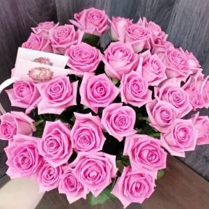 Моно букет из 31 роз