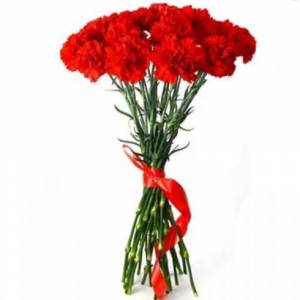 Гвоздика одноголовая красная