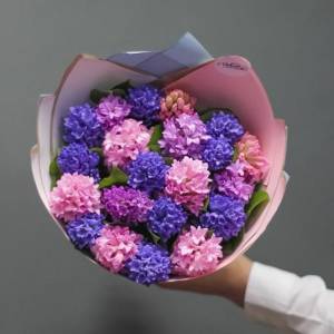 Букет гиацинтов "Микс"