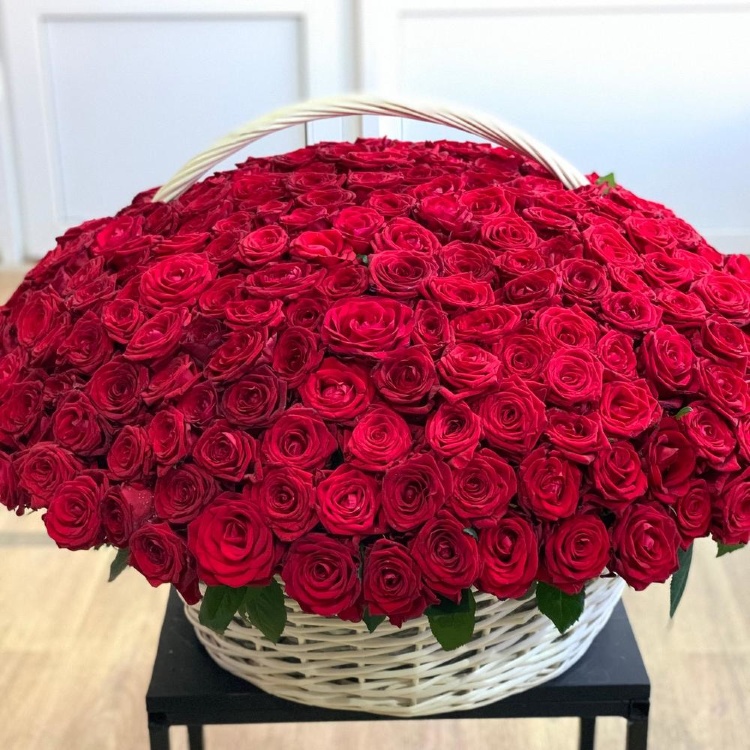 Букет из 301 розы