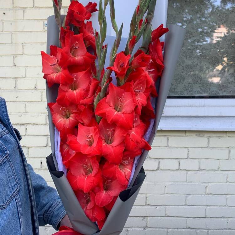 Букет гладиолусов "Забота"