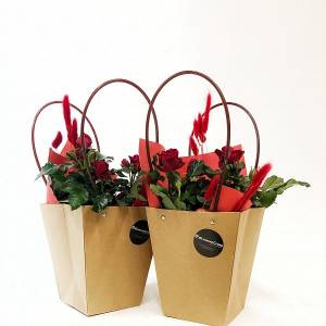 Фито - композиция № 1