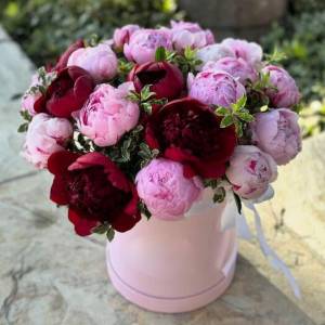 пионы в коробочке