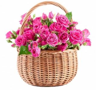 Корзина розовых роз Анжелика
