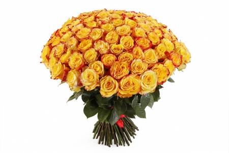Букет из 101 розы "Йеллоу Бэйби"