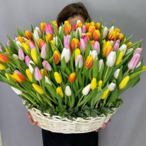 101 тюльпан в корзине