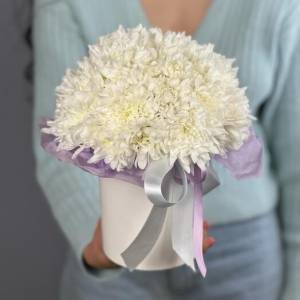 Хризантемы в коробке