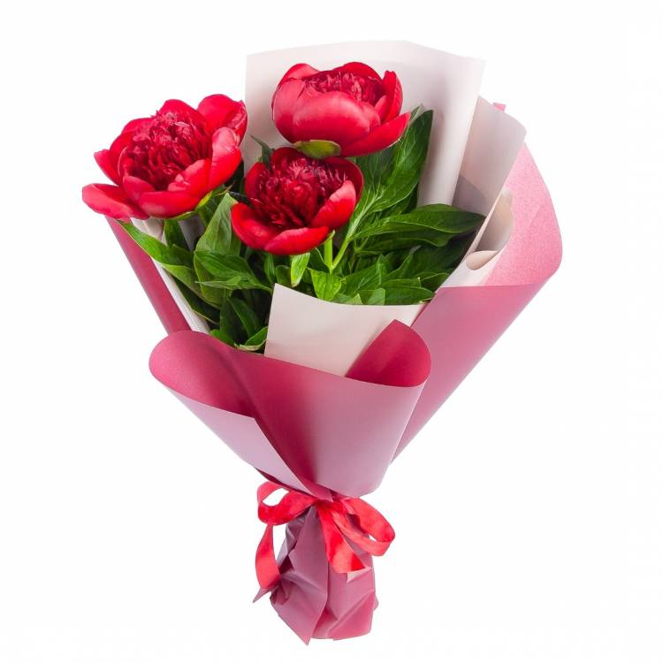 Букет из пионов "Всего три слова"