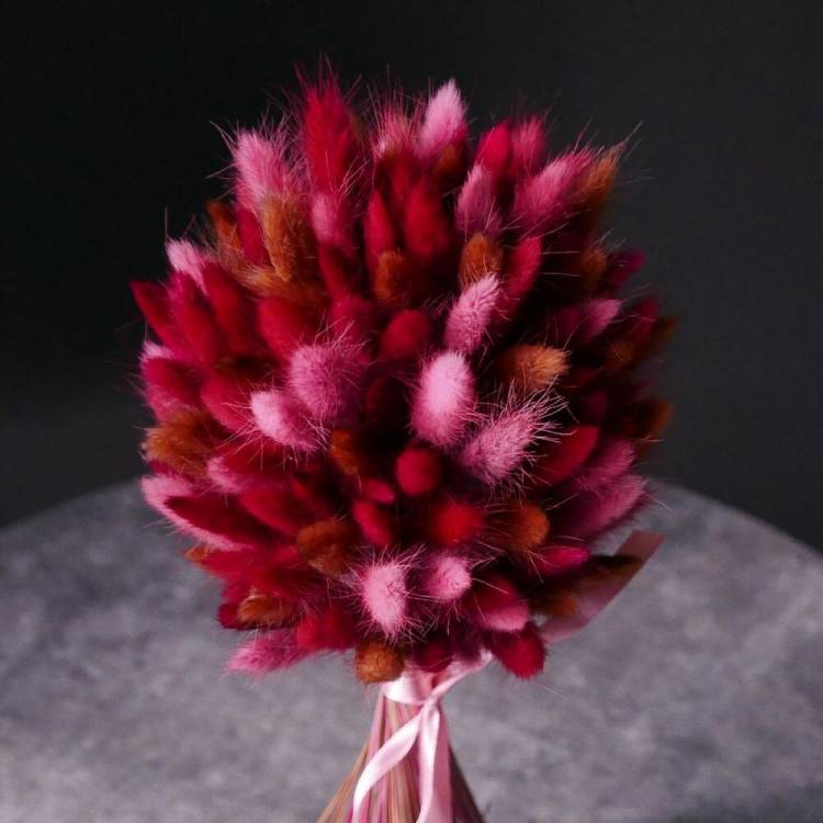 Лагурус "Пушистое Облако"